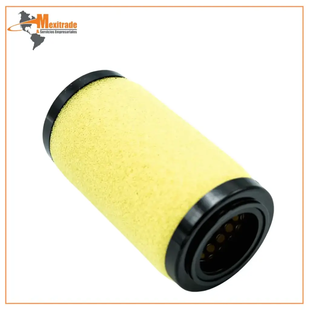 Elemento filtrante AFM40P-060AS